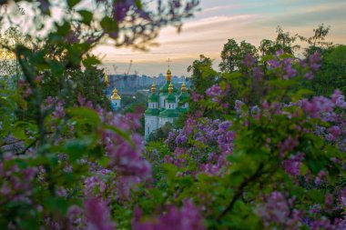 Kyiv 'in ve Hryshko botanik bahçesindeki Vydubychi manastırının gündoğumu manzarası, leylak çiçekleri, Ukaine