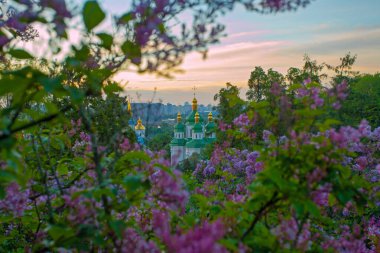Kyiv 'in ve Hryshko botanik bahçesindeki Vydubychi manastırının gündoğumu manzarası, leylak çiçekleri, Ukaine