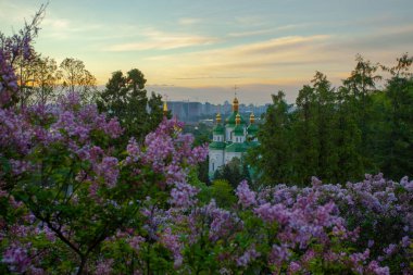 Kyiv 'in ve Hryshko botanik bahçesindeki Vydubychi manastırının gündoğumu manzarası, leylak çiçekleri, Ukaine