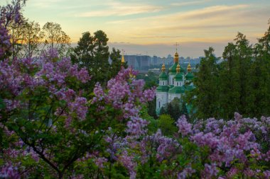 Kyiv 'in ve Hryshko botanik bahçesindeki Vydubychi manastırının gündoğumu manzarası, leylak çiçekleri, Ukaine