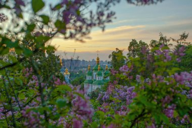 Kyiv 'in ve Hryshko botanik bahçesindeki Vydubychi manastırının gündoğumu manzarası, leylak çiçekleri, Ukaine