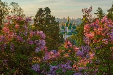 Kyiv 'in ve Hryshko botanik bahçesindeki Vydubychi manastırının gündoğumu manzarası, leylak çiçekleri, Ukaine