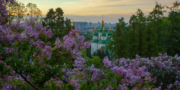Ukaine Lilac Flowers Hryshko植物园的Kyiv和Vydubychi修道院的日出景观 — 图库照片