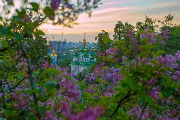 Soluppgången Syn Kiev Och Vydubychi Klostret Från Hryshko Botaniska Trädgården — Stockfoto
