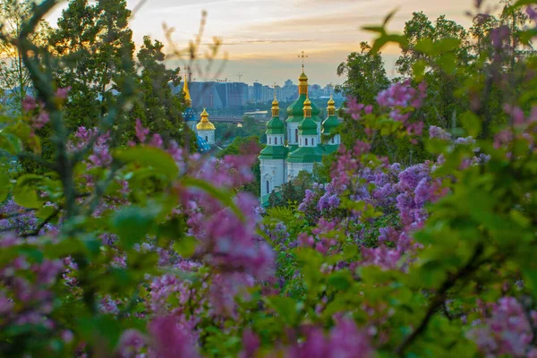 Kyiv Hryshko Botanik Bahçesindeki Vydubychi Manastırının Gündoğumu Manzarası Leylak Çiçekleri — Stok fotoğraf