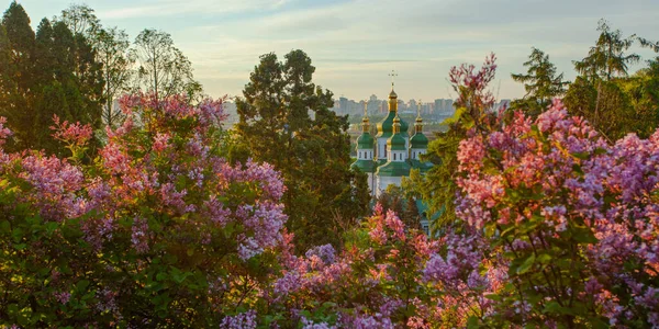 Vista All Alba Kiev Monastero Vydubychi Dal Giardino Botanico Hryshko — Foto Stock