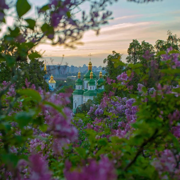 Kyiv 'in ve Hryshko botanik bahçesindeki Vydubychi manastırının gündoğumu manzarası, leylak çiçekleri, Ukaine
