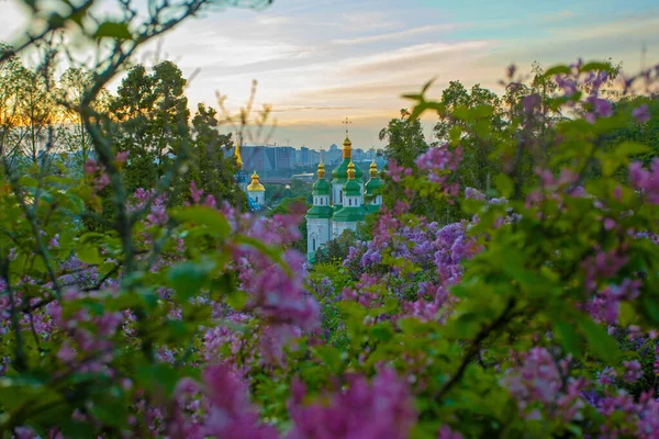 Kyiv 'in ve Hryshko botanik bahçesindeki Vydubychi manastırının gündoğumu manzarası, leylak çiçekleri, Ukaine