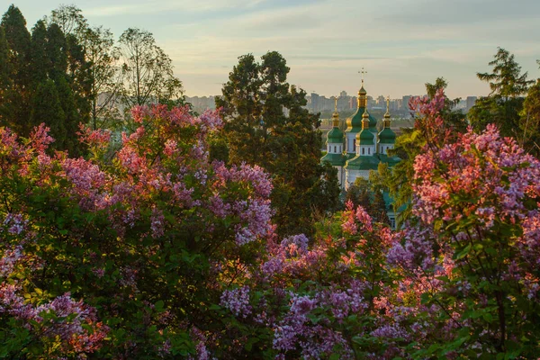 Vue Lever Soleil Sur Kiev Monastère Vydubychi Depuis Jardin Botanique — Photo