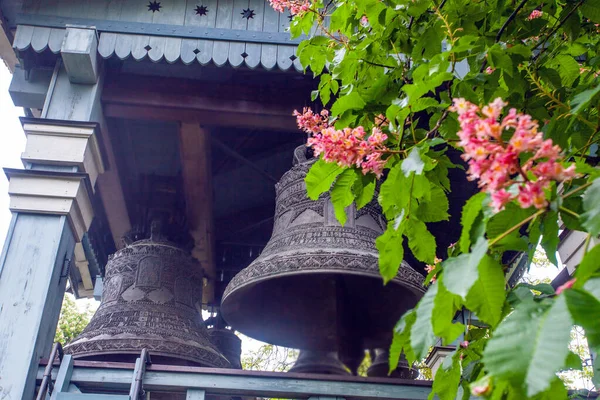 基辅植物园枯萎的粉色栗树和教堂钟声 — 图库照片