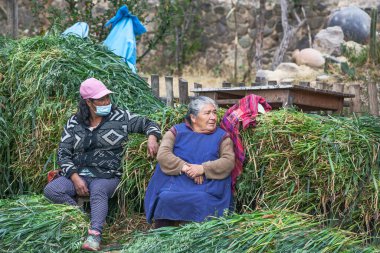 Peru - 5 Mayıs 2022: 