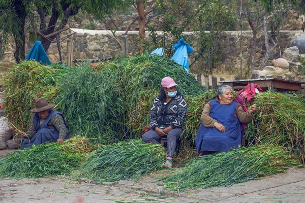 Peru May 2022 Peruvian People Traditional Clothes Ollataytambo Woman Selling — Foto Stock