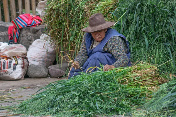Peru Maio 2022 Povo Peruano Roupas Tradicionais Ollataytambo Mulher Vendendo — Fotografia de Stock