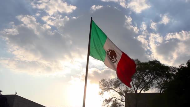 Большой Флаг Мексики Размахивающий Ветру — стоковое видео