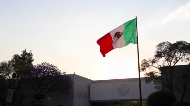 Μεγάλη Σημαία Του Μεξικού Κυματίζει Στον Άνεμο — Αρχείο Βίντεο