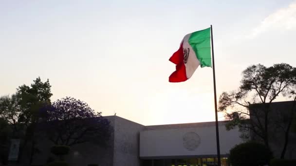 Gran Bandera México Ondeando Viento — Vídeos de Stock