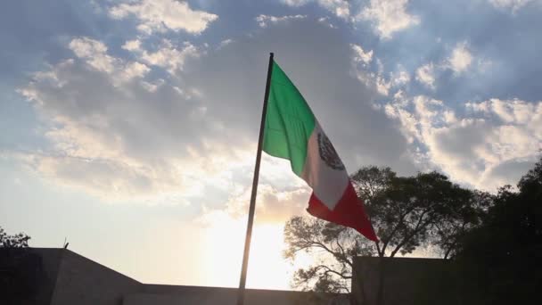 Большой Флаг Мексики Размахивающий Ветру — стоковое видео