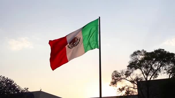 Gran Bandera México Ondeando Viento — Vídeo de stock