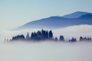 Karpat dağlarında sabah sisi, Ukrayna