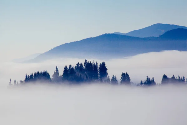 stock image Morning fog in the Carpathian mountains, Ukraine