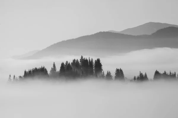 Brouillard Matinal Dans Les Montagnes Des Carpates Ukraine — Photo