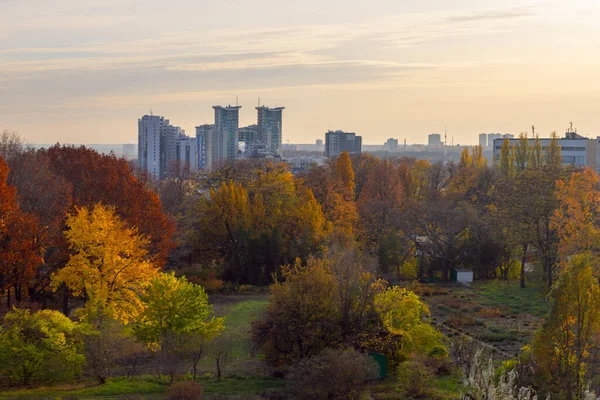 Barevný Zlatý Podzim Botanické Zahradě Kyjev — Stock fotografie