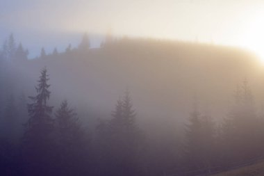 Karpat dağlarında puslu bir sabah, Ukrinae