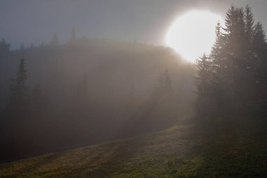 Karpat dağlarında puslu bir sabah, Ukrinae