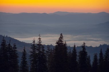 Ukrayna 'daki Karpat dağlarında gün doğumunda sabah sisi