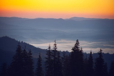 Ukrayna 'daki Karpat dağlarında gün doğumunda sabah sisi