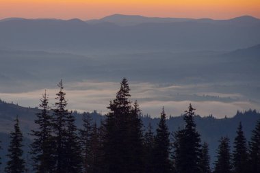 Ukrayna 'daki Karpat dağlarında gün doğumunda sabah sisi