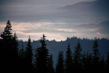 Ukrayna 'daki Karpat dağlarında gün doğumunda sabah sisi