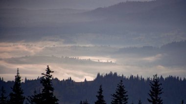 Ukrayna 'daki Karpat dağlarında gün doğumunda sabah sisi