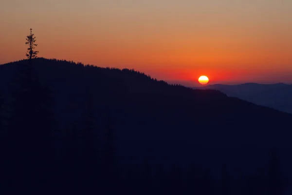 Восход Солнца Над Драгобратом Карпатах Украина — стоковое фото