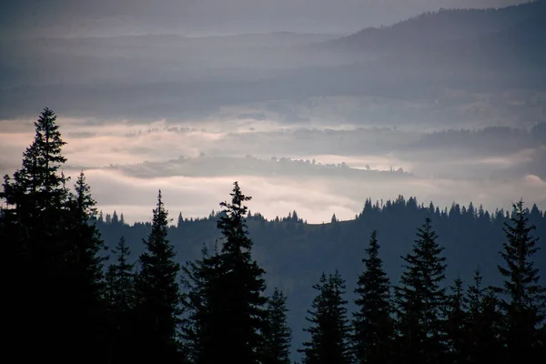 Утренний Туман Восходе Солнца Карпатах Украина — стоковое фото