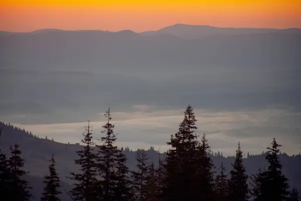 Утренний Туман Восходе Солнца Карпатах Украина — стоковое фото