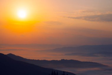 Dragobrat 'ın yukarısında gün doğumu, Ukrayna' nın Karpat dağlarındaki çayırlarda sis.