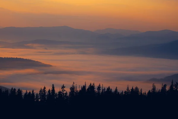 Восход Солнца Над Драгобратом Туманом Лугу Карпатах Украина — стоковое фото