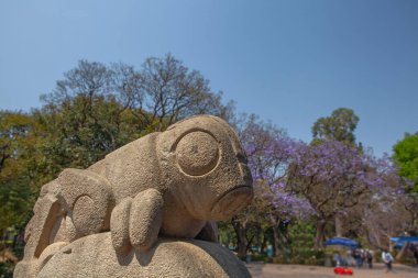 MEXICO CITY, MEXICO - 12 Mart 2022: Mexico City 'deki Antropoloji Müzesi yakınlarındaki Aztek tanrı çekirge anıtı 