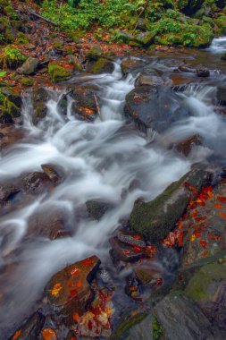 Sonbaharda Karpat dağlarında Shypit şelalesi, Ukrayna