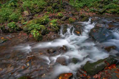 Sonbaharda Karpat dağlarında Shypit şelalesi, Ukrayna