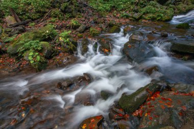 Sonbaharda Karpat dağlarında Shypit şelalesi, Ukrayna