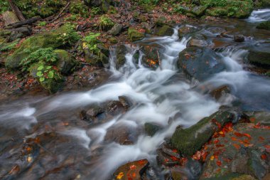 Sonbaharda Karpat dağlarında Shypit şelalesi, Ukrayna