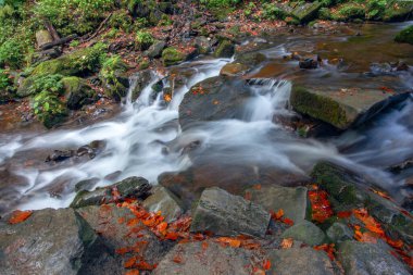 Sonbaharda Karpat dağlarında Shypit şelalesi, Ukrayna