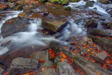 Sonbaharda Karpat dağlarında Shypit şelalesi, Ukrayna