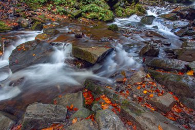 Sonbaharda Karpat dağlarında Shypit şelalesi, Ukrayna