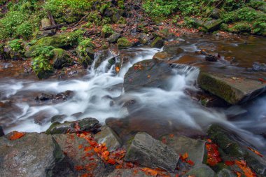 Sonbaharda Karpat dağlarında Shypit şelalesi, Ukrayna