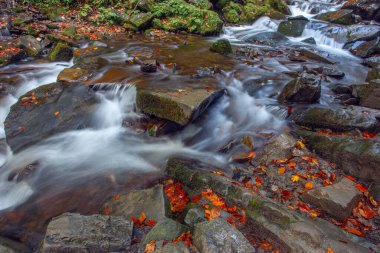 Sonbaharda Karpat dağlarında Shypit şelalesi, Ukrayna