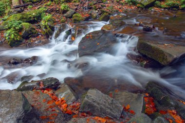 Sonbaharda Karpat dağlarında Shypit şelalesi, Ukrayna