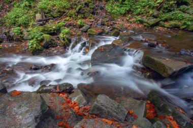 Sonbaharda Karpat dağlarında Shypit şelalesi, Ukrayna